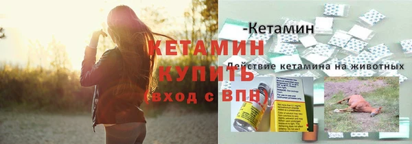 хмурый Няндома