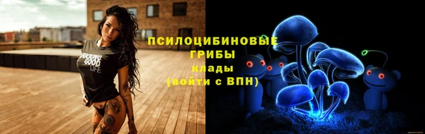 мдма Осинники