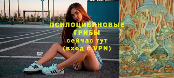 Альфа ПВП Остров